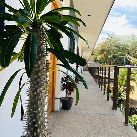 Hotel Samanu Sayulita Exteriör bild