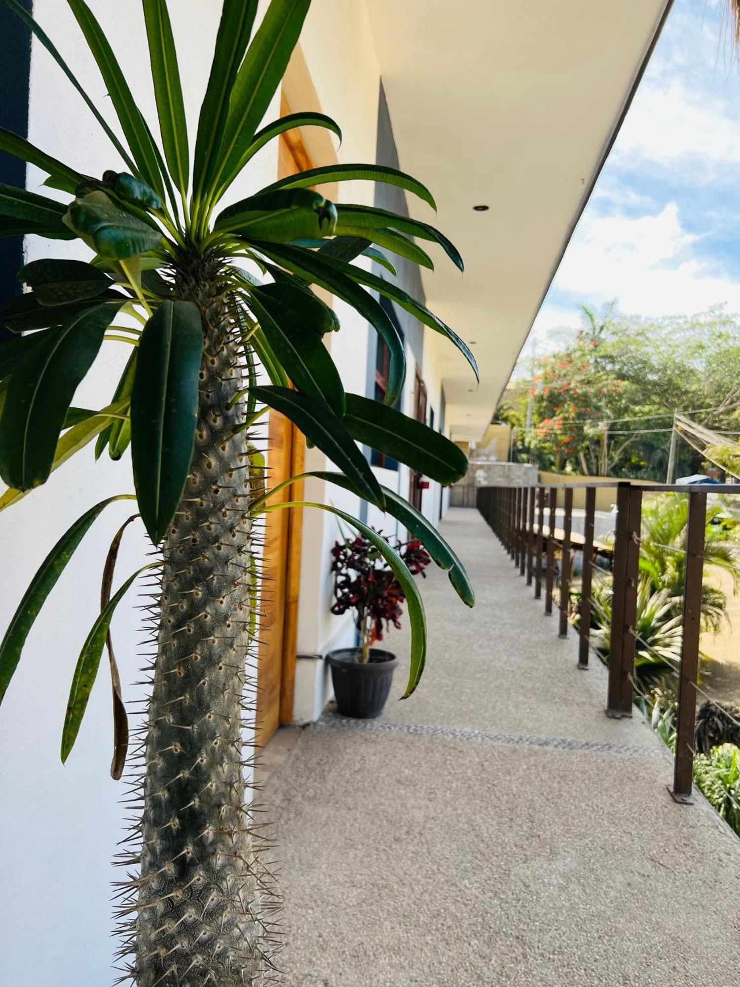 Hotel Samanu Sayulita Exteriör bild